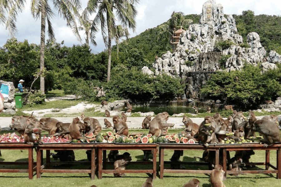 lan bien nha trang o dau2015