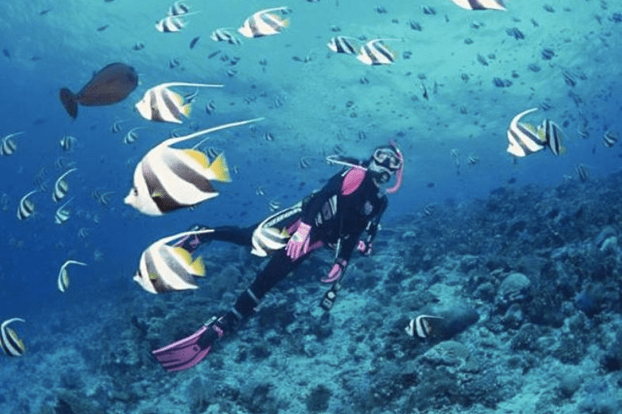 lan bien nha trang o dau2019