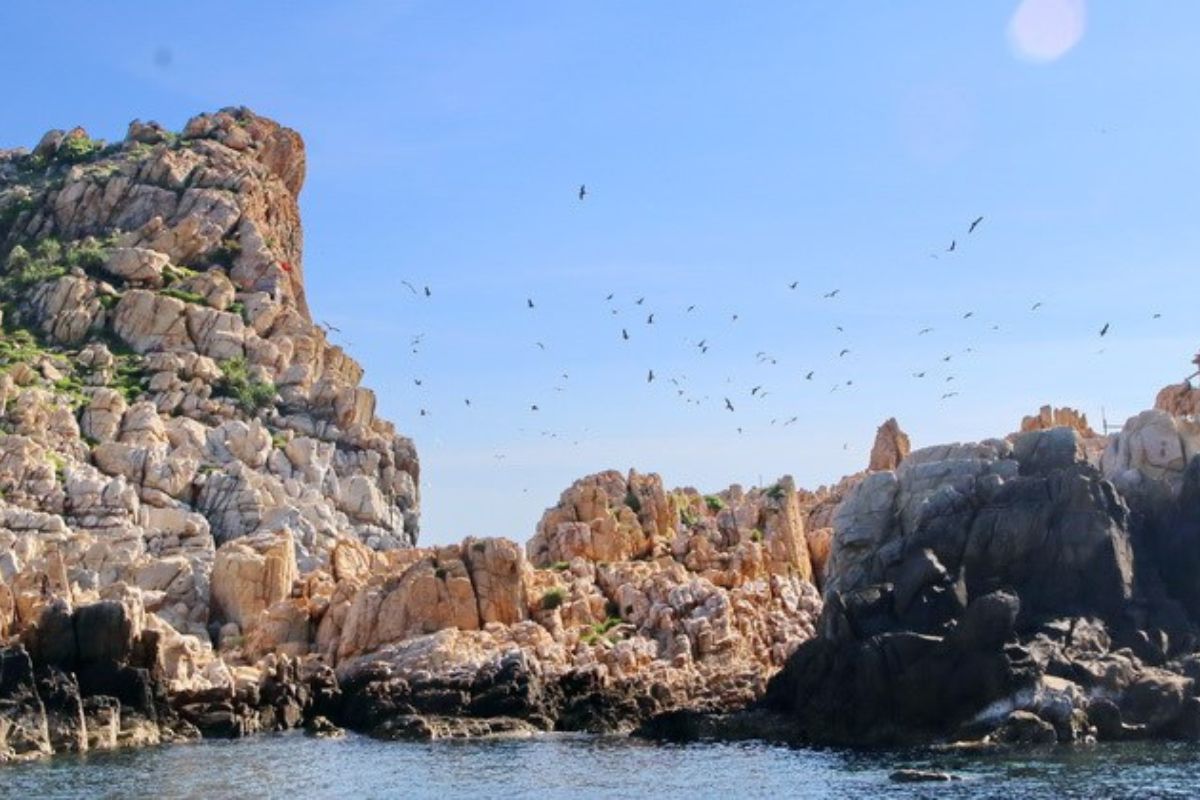 le-hoi-yen-sao-nha-trang207 le hoi yen sao nha trang207