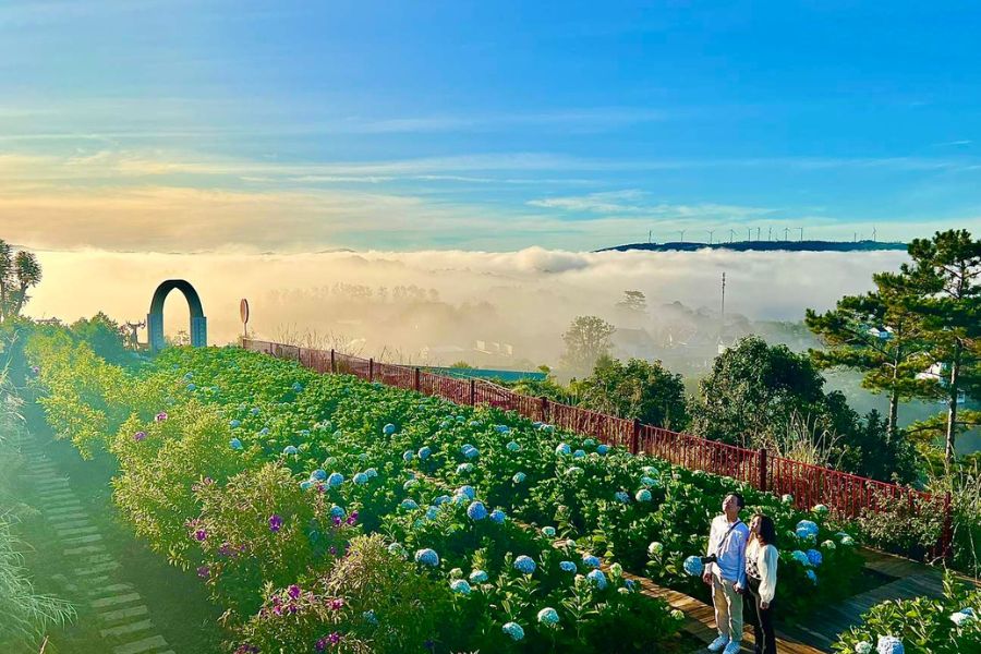 nen di da lat hay nha trang truoc204