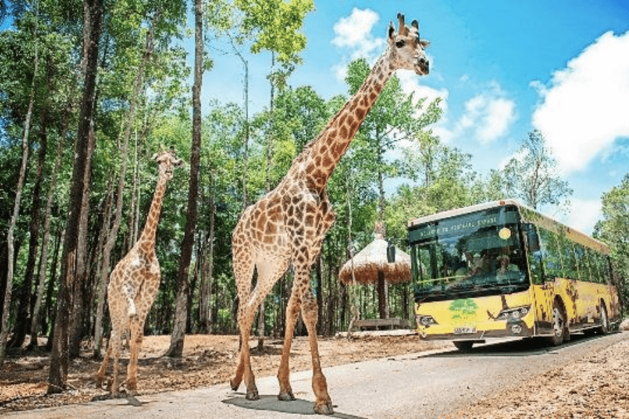 ngan-hang-bidv-khanh-hoa-tai-sheraton-phu-quoc2019 ngan hang bidv khanh hoa tai sheraton phu quoc2019