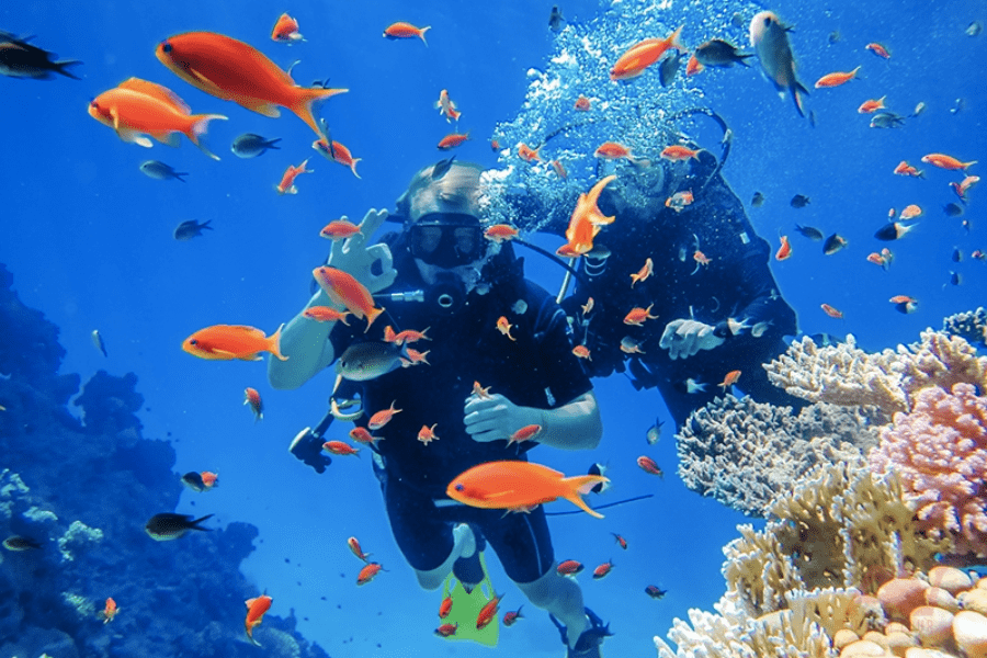 nha trang mui ne 3n2d2021