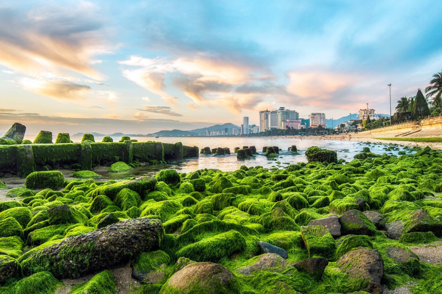 nhung dia diem du lich free o nha trang2015