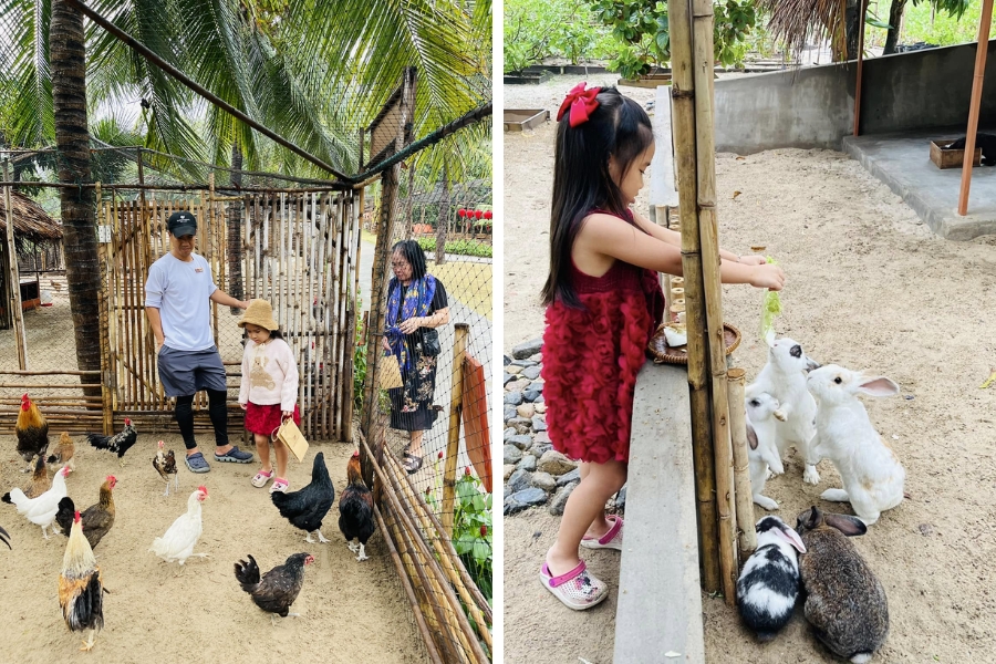 Nhiều loài động vật được nuôi ở Fusion Farm
