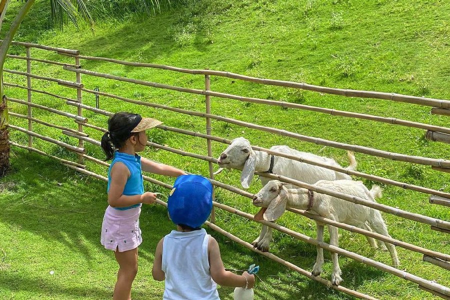 Khu nông trại với không gian tươi mát, gần gũi với thiên nhiên
