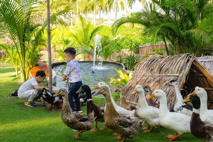 Các bé thích thú với hoạt động cho động vật ăn