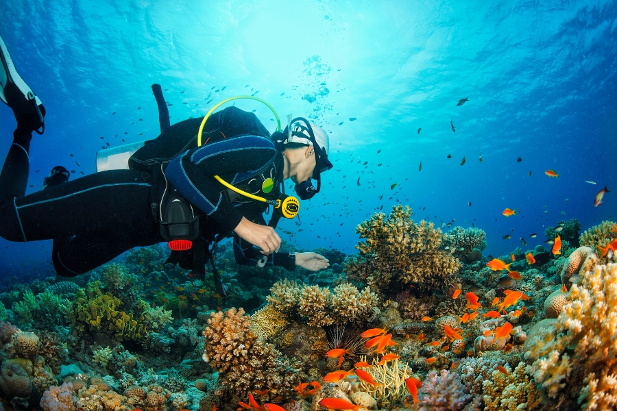 phan-biet-lan-snorkeling-va-scuba-diving202 phan biet lan snorkeling va scuba diving202