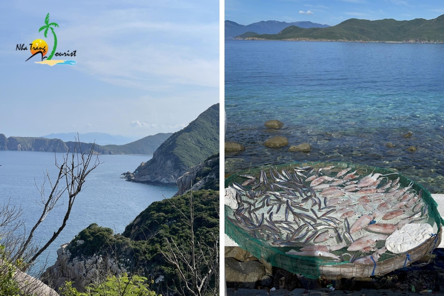 review dao bich dam nha trang205