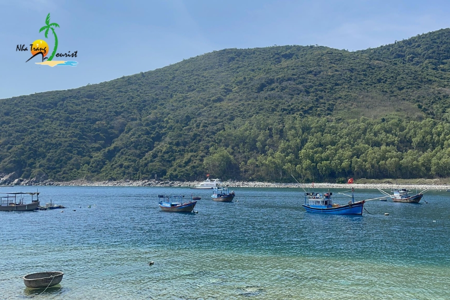review dao bich dam nha trang206