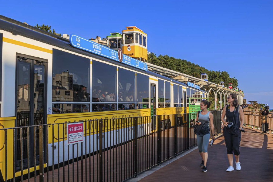 Tàu Haeundae Beach Train dành cho đoàn đông người