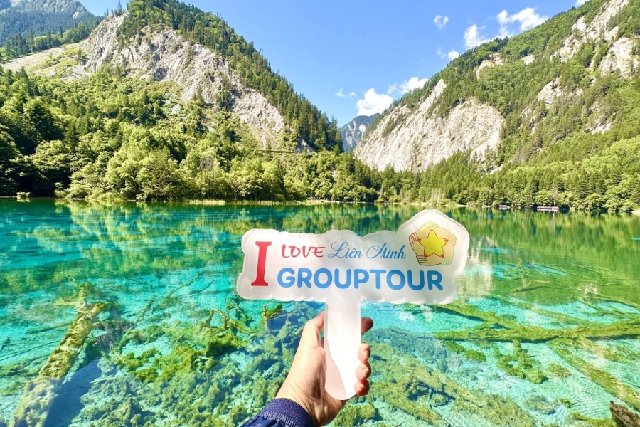 review tour cuu trai cau nhatrangtourist206