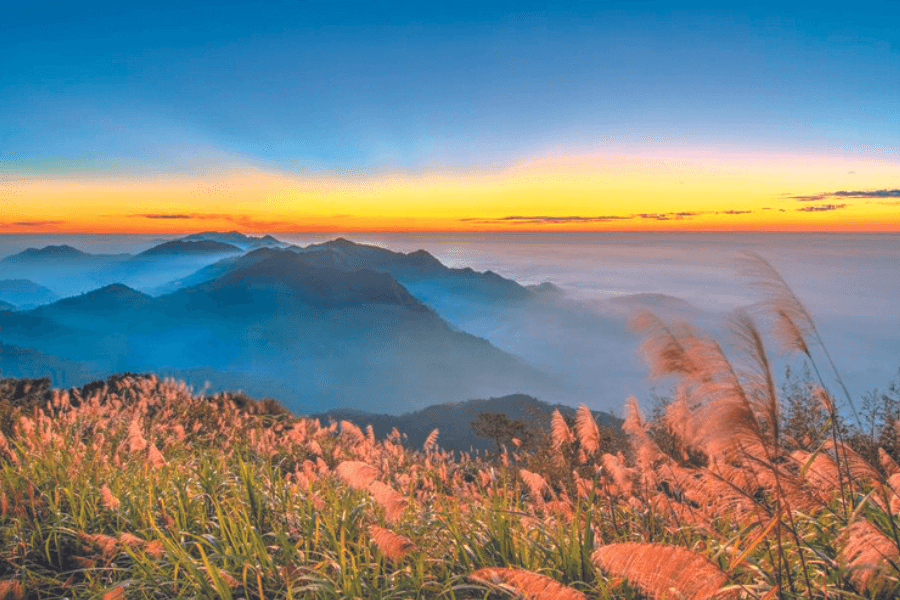 review tour dai loan nhatrangtourist2019