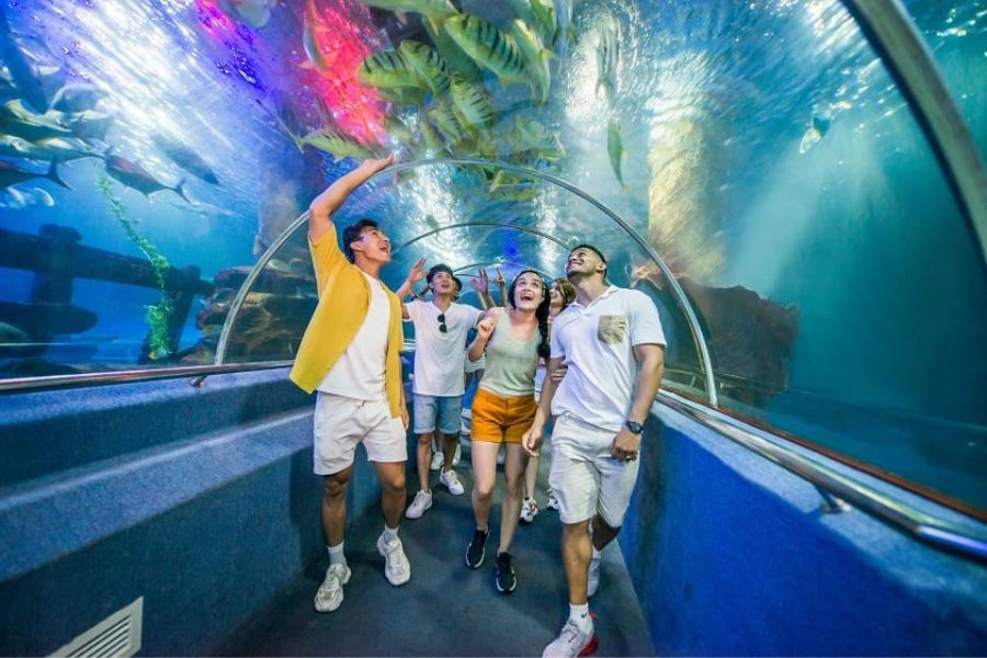 thuy cung vinpearl nha trang203