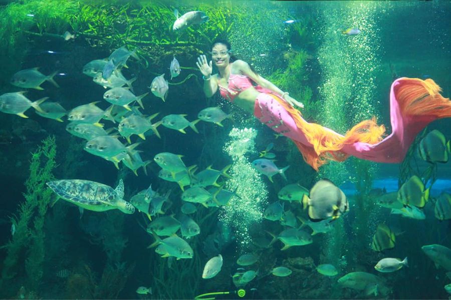 thuy cung vinpearl nha trang204
