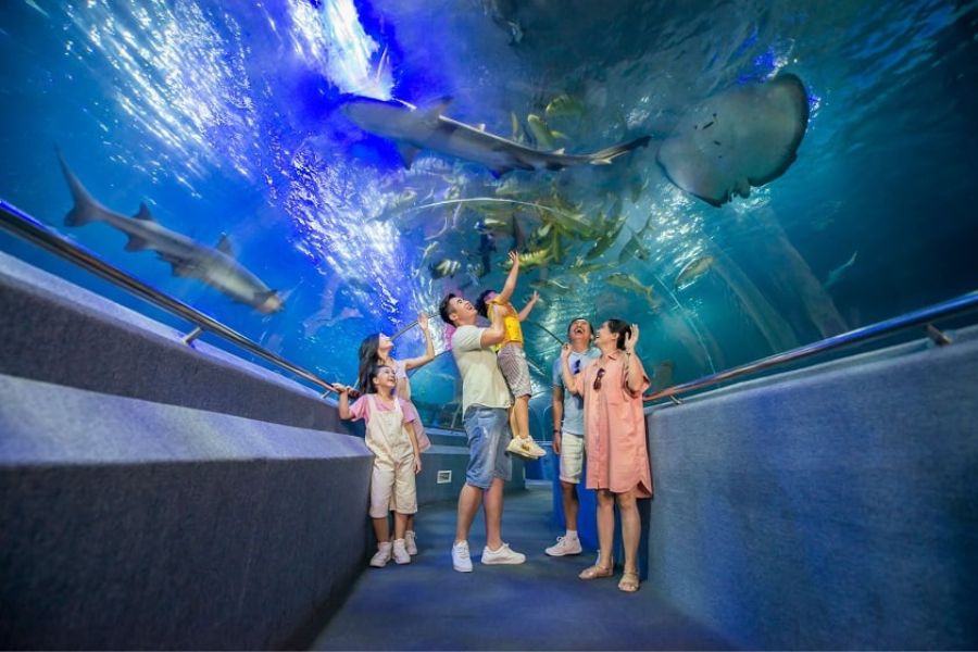 thuy cung vinpearl nha trang205