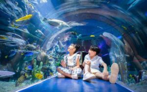 Khám phá thủy cung Vinpearl Nha Trang