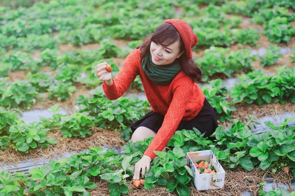 Áo len cùng chân váy là thời trang phù hợp cho thời tiết se lạnh tại Đà Lạt