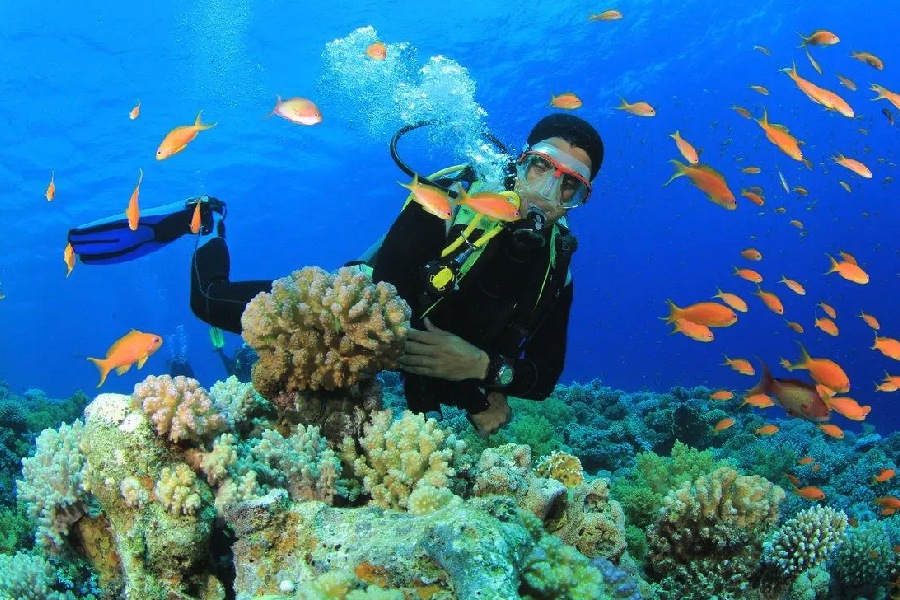 tour-nha-trang-3-ngay-2-dem-cho-khach-doan-4 tour nha trang 3 ngay 2 dem cho khach doan 4