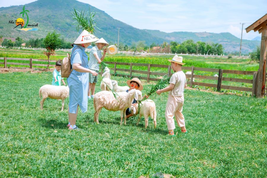 tour nha trang ninh thuan 1 ngay202