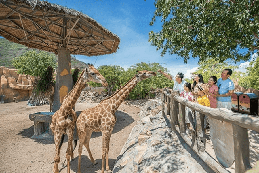 tour tham quan vinpearl cua ngan hang bidv khanh hoa209 min