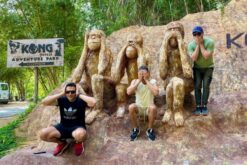 combo 2 kong forest 7