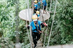 combo kong forest zipline atv 4