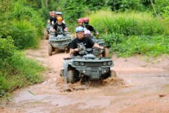 combo kong forest zipline atv 6