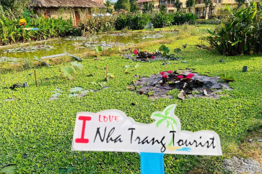 dem-tiec-tri-an-ana-mandara-cam-ranh2015 dem tiec tri an ana mandara cam ranh2015