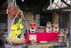 tour chua truc lam hon ba 13