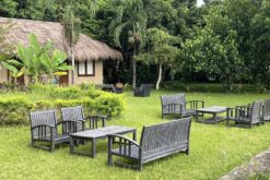 tour tham quan chua truc lam 10