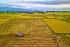 tour tham quan chua truc lam 11