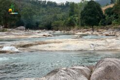 tour tham quan chua truc lam 8