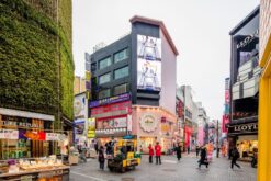 du lich han quoc mua xuan tu nha trang 11