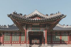 du lich han quoc mua xuan tu nha trang 9