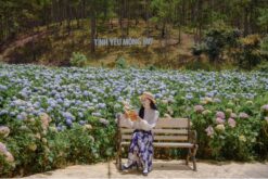 Tour du lịch Đà Lạt mộng mơ 3N2Đ | Điểm tham quan đặc sắc