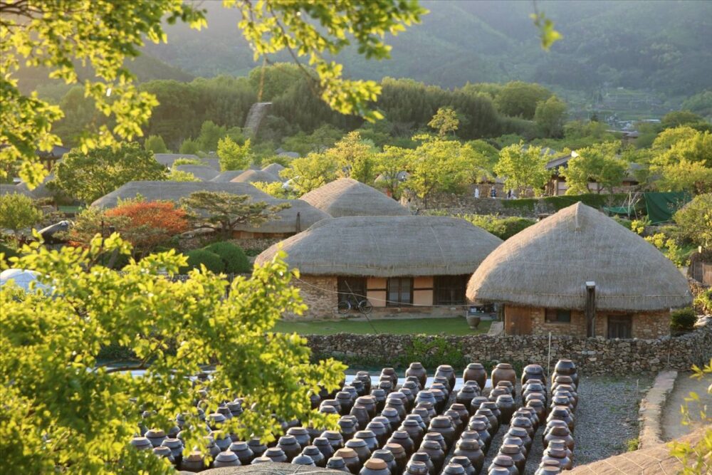 Tour khám phá đảo Jeju 4N3đ (bay thẳng từ sân bay Cam Ranh) - Ảnh 12