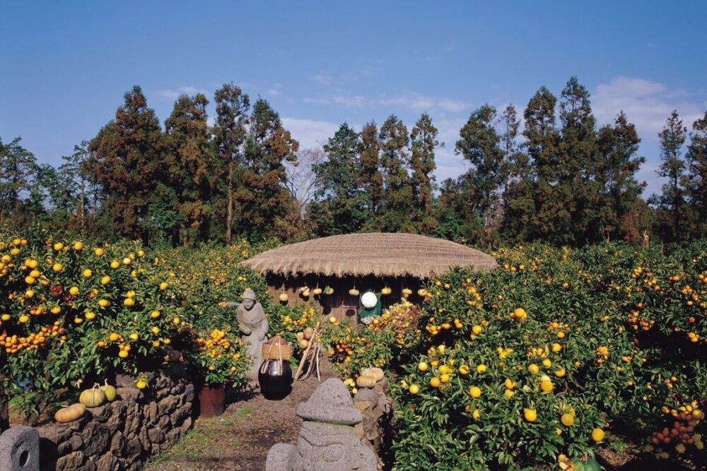 Tour khám phá đảo Jeju 4N3đ (bay thẳng từ sân bay Cam Ranh) - Ảnh 10