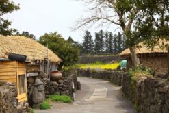 tour dao Jeju 5