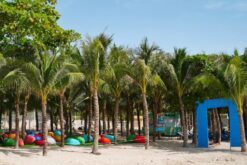 Tour khám phá KDL Mirae Park - Bãi Sỏi Nha Trang 1 ngày