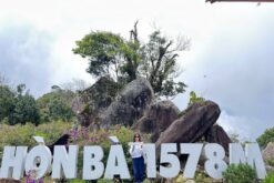 tour truc lam hon ba kong forest mo bac si yersin
