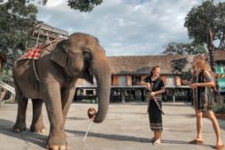 Tour Buôn Mê Thuột - Nha Trang 6N5Đ (Lựa chọn 1)
