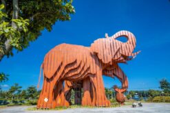tour buon me thuot nha trang 6n5d op2 8