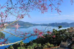 tour dai loan ngam hoa anh dao 5