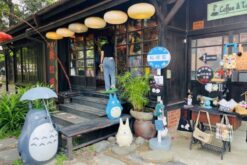 tour dai loan ngam hoa anh dao 7