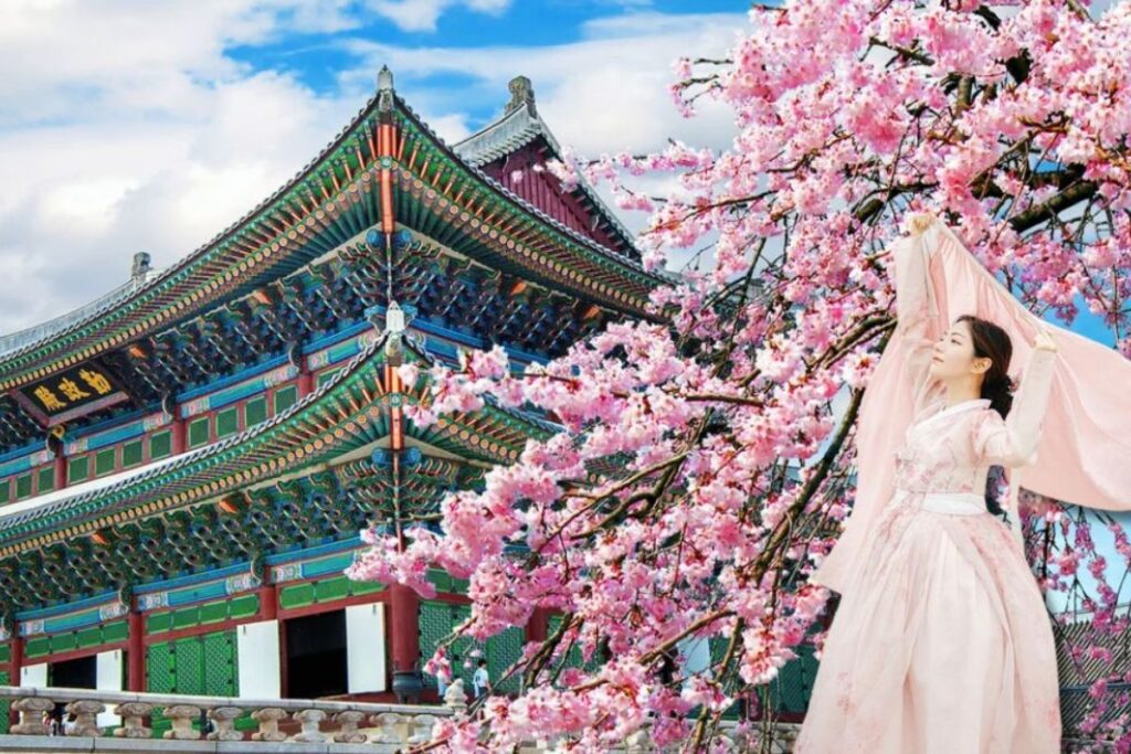 Tour du lịch Hàn Quốc 5N4Đ - Ngắm mùa hoa Anh Đào