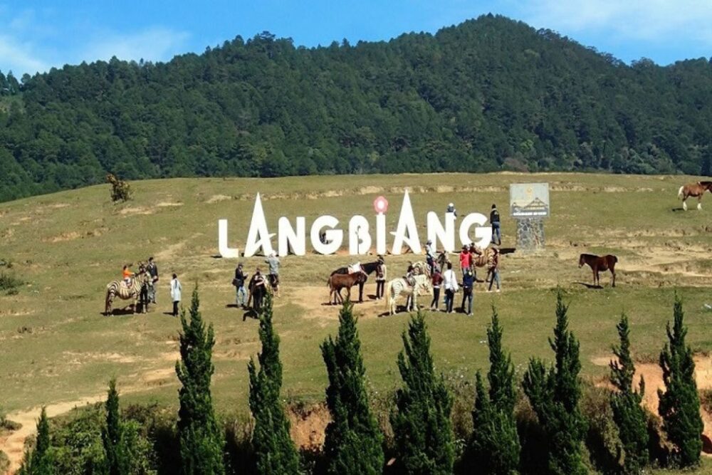Tour du lịch Nha Trang - Đà Lạt - Ninh Thuận 7 ngày 6 đêm - Ảnh 9