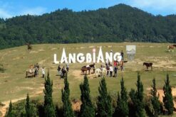 tour nha trang da lat ninh thuan 7n6d 16