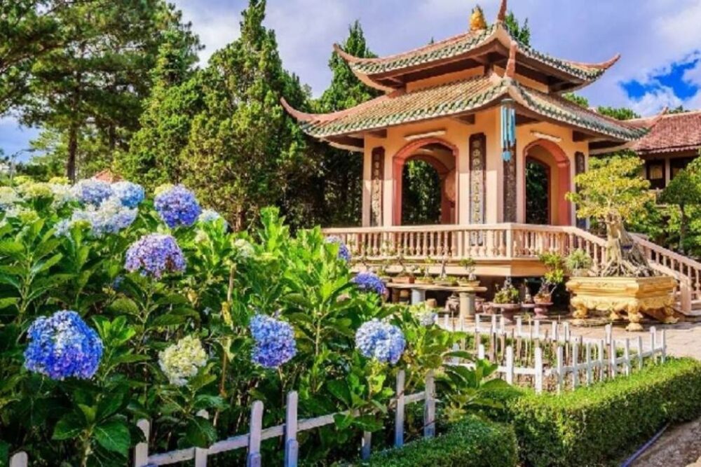 Tour Nha Trang - Đà Lạt - Ninh Thuận 7N6Đ (Lựa chọn 2) - Ảnh 11