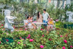 tour nha trang da lat ninh thuan mui ne 9n8d op2 2