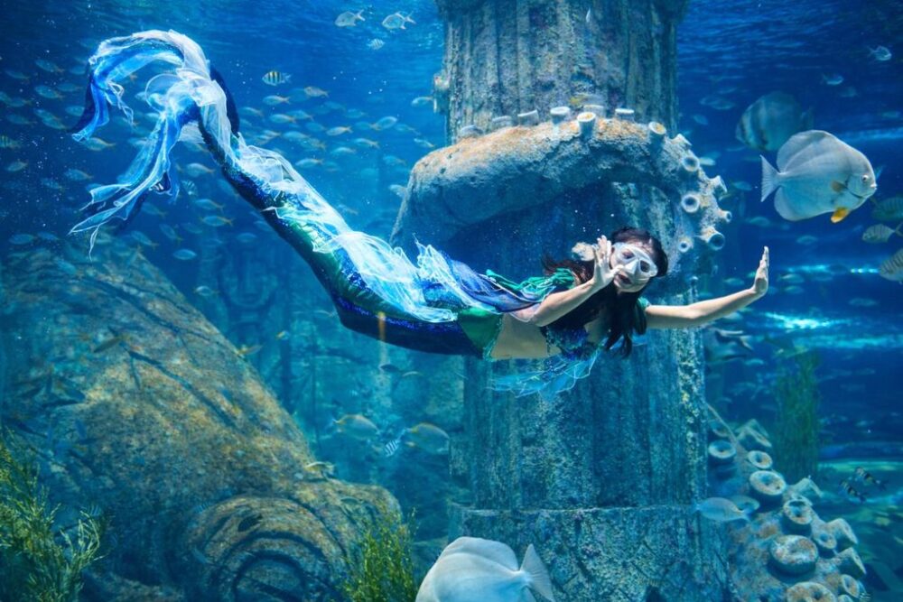 Tour Nha Trang - Đà Lạt - Ninh Thuận 7N6Đ (Lựa chọn 2) - Ảnh 8